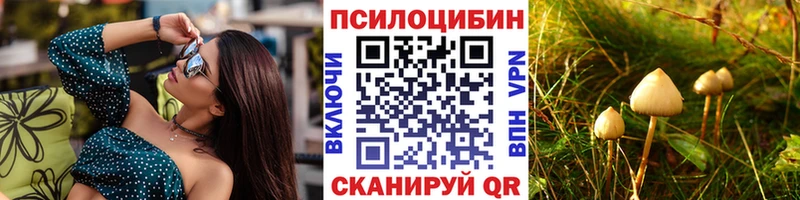 это наркотические препараты  купить наркотики цена  Магадан  Псилоцибиновые грибы мухоморы 